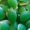 Feijoa and Cream