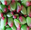 Sour Feijoas